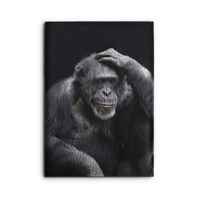 Обложка для автодокументов с принтом ЕГЭ в Тюмени, натуральная кожа |  размер 19,9*13 см; внутри 4 больших “конверта” для документов и один маленький отдел — туда идеально встанут права | Тематика изображения на принте: егэ | обезьяна | шимпанзе | школа | экзамен | экзамены