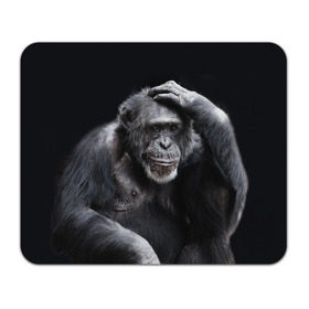 Коврик прямоугольный с принтом ЕГЭ в Тюмени, натуральный каучук | размер 230 х 185 мм; запечатка лицевой стороны | егэ | обезьяна | шимпанзе | школа | экзамен | экзамены