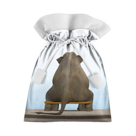 Подарочный 3D мешок с принтом Слон и журавли в Тюмени, 100% полиэстер | Размер: 29*39 см | bench | coast | cranes | dream | elephant | flight | sea | sitting | берег | журавли | мечты | море | полет | сидит | скамейка | слон