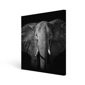 Холст квадратный с принтом Слон в Тюмени, 100% ПВХ |  | Тематика изображения на принте: animal | big | black   white | elephant | wild | большой | дикий | животное | слон | черно   белый