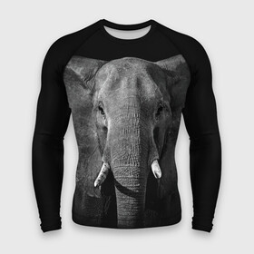 Мужской рашгард 3D с принтом Слон в Тюмени,  |  | animal | big | black   white | elephant | wild | большой | дикий | животное | слон | черно   белый
