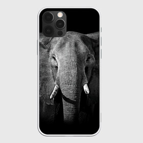 Чехол для iPhone 12 Pro Max с принтом Слон в Тюмени, Силикон |  | animal | big | black   white | elephant | wild | большой | дикий | животное | слон | черно   белый