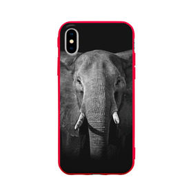 Чехол для Apple iPhone X силиконовый матовый с принтом Слон в Тюмени, Силикон | Печать на задней стороне чехла, без боковой панели | animal | big | black   white | elephant | wild | большой | дикий | животное | слон | черно   белый