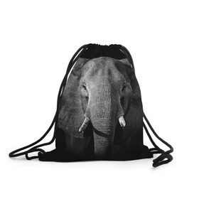 Рюкзак-мешок 3D с принтом Слон в Тюмени, 100% полиэстер | плотность ткани — 200 г/м2, размер — 35 х 45 см; лямки — толстые шнурки, застежка на шнуровке, без карманов и подкладки | animal | big | black   white | elephant | wild | большой | дикий | животное | слон | черно   белый