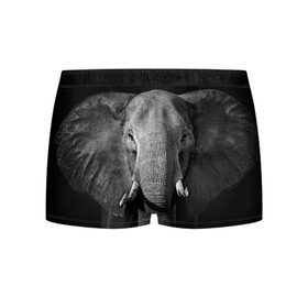 Мужские трусы 3D с принтом Слон в Тюмени, 50% хлопок, 50% полиэстер | классическая посадка, на поясе мягкая тканевая резинка | Тематика изображения на принте: animal | big | black   white | elephant | wild | большой | дикий | животное | слон | черно   белый