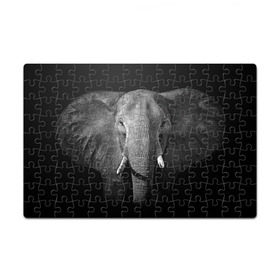 Пазл магнитный 126 элементов с принтом Слон в Тюмени, полимерный материал с магнитным слоем | 126 деталей, размер изделия —  180*270 мм | animal | big | black   white | elephant | wild | большой | дикий | животное | слон | черно   белый