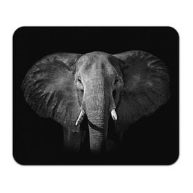 Коврик прямоугольный с принтом Слон в Тюмени, натуральный каучук | размер 230 х 185 мм; запечатка лицевой стороны | animal | big | black   white | elephant | wild | большой | дикий | животное | слон | черно   белый