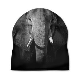 Шапка 3D с принтом Слон в Тюмени, 100% полиэстер | универсальный размер, печать по всей поверхности изделия | animal | big | black   white | elephant | wild | большой | дикий | животное | слон | черно   белый