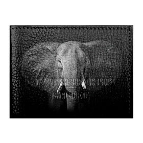 Обложка для студенческого билета с принтом Слон в Тюмени, натуральная кожа | Размер: 11*8 см; Печать на всей внешней стороне | animal | big | black   white | elephant | wild | большой | дикий | животное | слон | черно   белый