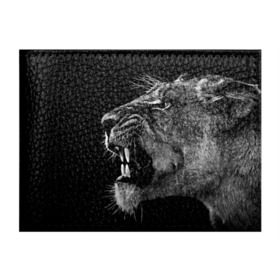 Обложка для студенческого билета с принтом Львица в Тюмени, натуральная кожа | Размер: 11*8 см; Печать на всей внешней стороне | animal | fangs | head | lion | lioness | predator | teeth | wild | голова | дикая | животное | клыки | лев | львица | оскал | хищник