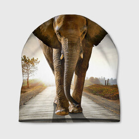 Шапка 3D с принтом Слон в Тюмени, 100% полиэстер | универсальный размер, печать по всей поверхности изделия | africa | animal | big | elephant | go | road | savannah | wild | африка | большой | дикий | дорога | животное | идет | саванна | слон