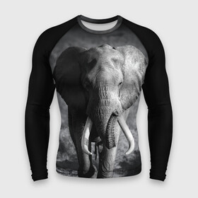 Мужской рашгард 3D с принтом Слон в Тюмени,  |  | africa | animal | big | black   white | elephant | go | road | savannah | wild | африка | большой | дикий | дорога | животное | идет | саванна | слон | черно   белый