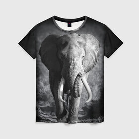 Женская футболка 3D с принтом Слон в Тюмени, 100% полиэфир ( синтетическое хлопкоподобное полотно) | прямой крой, круглый вырез горловины, длина до линии бедер | africa | animal | big | black   white | elephant | go | road | savannah | wild | африка | большой | дикий | дорога | животное | идет | саванна | слон | черно   белый