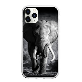 Чехол для iPhone 11 Pro матовый с принтом Слон в Тюмени, Силикон |  | Тематика изображения на принте: africa | animal | big | black   white | elephant | go | road | savannah | wild | африка | большой | дикий | дорога | животное | идет | саванна | слон | черно   белый