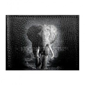 Обложка для студенческого билета с принтом Слон в Тюмени, натуральная кожа | Размер: 11*8 см; Печать на всей внешней стороне | africa | animal | big | black   white | elephant | go | road | savannah | wild | африка | большой | дикий | дорога | животное | идет | саванна | слон | черно   белый