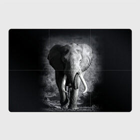 Магнитный плакат 3Х2 с принтом Слон в Тюмени, Полимерный материал с магнитным слоем | 6 деталей размером 9*9 см | africa | animal | big | black   white | elephant | go | road | savannah | wild | африка | большой | дикий | дорога | животное | идет | саванна | слон | черно   белый