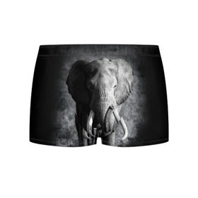 Мужские трусы 3D с принтом Слон в Тюмени, 50% хлопок, 50% полиэстер | классическая посадка, на поясе мягкая тканевая резинка | africa | animal | big | black   white | elephant | go | road | savannah | wild | африка | большой | дикий | дорога | животное | идет | саванна | слон | черно   белый