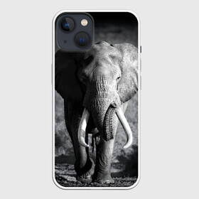 Чехол для iPhone 13 с принтом Слон в Тюмени,  |  | africa | animal | big | black   white | elephant | go | road | savannah | wild | африка | большой | дикий | дорога | животное | идет | саванна | слон | черно   белый