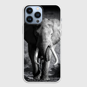 Чехол для iPhone 13 Pro Max с принтом Слон в Тюмени,  |  | africa | animal | big | black   white | elephant | go | road | savannah | wild | африка | большой | дикий | дорога | животное | идет | саванна | слон | черно   белый