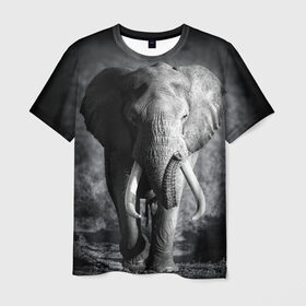Мужская футболка 3D с принтом Слон в Тюмени, 100% полиэфир | прямой крой, круглый вырез горловины, длина до линии бедер | africa | animal | big | black   white | elephant | go | road | savannah | wild | африка | большой | дикий | дорога | животное | идет | саванна | слон | черно   белый