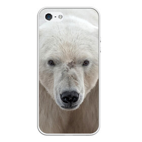 Чехол для iPhone 5/5S матовый с принтом Белый медведь в Тюмени, Силикон | Область печати: задняя сторона чехла, без боковых панелей | animal | bear | eyes | head | north | polar | predator | white | wild | белый | взгляд | голова | дикий | животное | медведь | полярный | север | хищник