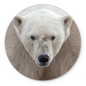 Коврик круглый с принтом Белый медведь в Тюмени, резина и полиэстер | круглая форма, изображение наносится на всю лицевую часть | Тематика изображения на принте: animal | bear | eyes | head | north | polar | predator | white | wild | белый | взгляд | голова | дикий | животное | медведь | полярный | север | хищник