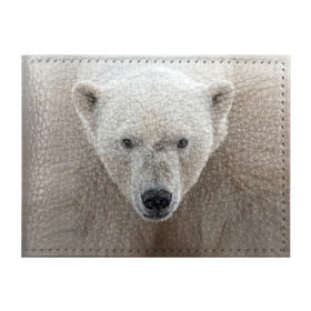 Обложка для студенческого билета с принтом Белый медведь в Тюмени, натуральная кожа | Размер: 11*8 см; Печать на всей внешней стороне | Тематика изображения на принте: animal | bear | eyes | head | north | polar | predator | white | wild | белый | взгляд | голова | дикий | животное | медведь | полярный | север | хищник