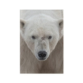 Обложка для паспорта матовая кожа с принтом Белый медведь в Тюмени, натуральная матовая кожа | размер 19,3 х 13,7 см; прозрачные пластиковые крепления | animal | bear | eyes | head | north | polar | predator | white | wild | белый | взгляд | голова | дикий | животное | медведь | полярный | север | хищник