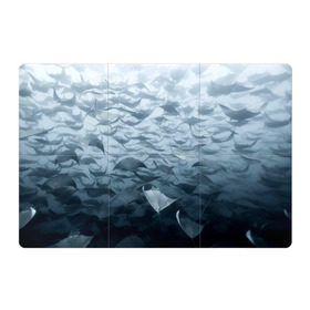 Магнитный плакат 3Х2 с принтом Электрические скаты в Тюмени, Полимерный материал с магнитным слоем | 6 деталей размером 9*9 см | Тематика изображения на принте: depth | fish | lot | ocean | power | rays | school | sea | water | вода | глубина | косяк | много | море | океан | рыбы | скаты | электрические