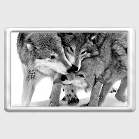 Магнит 45*70 с принтом Волчья семья в Тюмени, Пластик | Размер: 78*52 мм; Размер печати: 70*45 | animals | black   white | family | love | predators | wild | wolves | волки | дикие | животные | любовь | семья | хищники | черно   белый