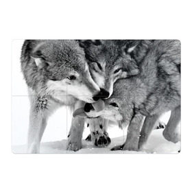 Магнитный плакат 3Х2 с принтом Волчья семья в Тюмени, Полимерный материал с магнитным слоем | 6 деталей размером 9*9 см | animals | black   white | family | love | predators | wild | wolves | волки | дикие | животные | любовь | семья | хищники | черно   белый