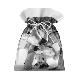 Подарочный 3D мешок с принтом Волчья семья в Тюмени, 100% полиэстер | Размер: 29*39 см | animals | black   white | family | love | predators | wild | wolves | волки | дикие | животные | любовь | семья | хищники | черно   белый