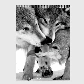Скетчбук с принтом Волчья семья в Тюмени, 100% бумага
 | 48 листов, плотность листов — 100 г/м2, плотность картонной обложки — 250 г/м2. Листы скреплены сверху удобной пружинной спиралью | animals | black   white | family | love | predators | wild | wolves | волки | дикие | животные | любовь | семья | хищники | черно   белый
