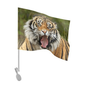 Флаг для автомобиля с принтом Тигр в Тюмени, 100% полиэстер | Размер: 30*21 см | angry | animal | beast | jaws | predator | teeth | tiger | животное | зверь | злой | клыки | оскал | пасть | тигр | хищник