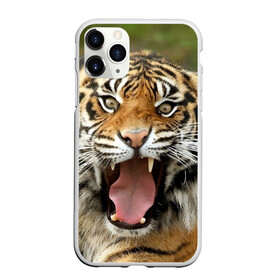 Чехол для iPhone 11 Pro матовый с принтом Тигр в Тюмени, Силикон |  | angry | animal | beast | jaws | predator | teeth | tiger | животное | зверь | злой | клыки | оскал | пасть | тигр | хищник