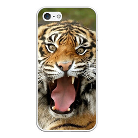 Чехол для iPhone 5/5S матовый с принтом Тигр в Тюмени, Силикон | Область печати: задняя сторона чехла, без боковых панелей | angry | animal | beast | jaws | predator | teeth | tiger | животное | зверь | злой | клыки | оскал | пасть | тигр | хищник