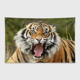 Флаг-баннер с принтом Тигр в Тюмени, 100% полиэстер | размер 67 х 109 см, плотность ткани — 95 г/м2; по краям флага есть четыре люверса для крепления | angry | animal | beast | jaws | predator | teeth | tiger | животное | зверь | злой | клыки | оскал | пасть | тигр | хищник