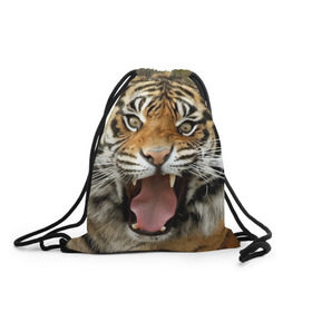 Рюкзак-мешок 3D с принтом Тигр в Тюмени, 100% полиэстер | плотность ткани — 200 г/м2, размер — 35 х 45 см; лямки — толстые шнурки, застежка на шнуровке, без карманов и подкладки | angry | animal | beast | jaws | predator | teeth | tiger | животное | зверь | злой | клыки | оскал | пасть | тигр | хищник