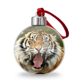 Ёлочный шар с принтом Тигр в Тюмени, Пластик | Диаметр: 77 мм | angry | animal | beast | jaws | predator | teeth | tiger | животное | зверь | злой | клыки | оскал | пасть | тигр | хищник