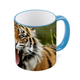 Кружка 3D с принтом Тигр в Тюмени, керамика | ёмкость 330 мл | angry | animal | beast | jaws | predator | teeth | tiger | животное | зверь | злой | клыки | оскал | пасть | тигр | хищник