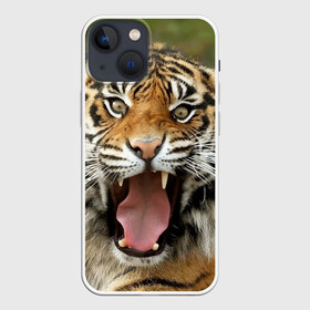 Чехол для iPhone 13 mini с принтом Тигр в Тюмени,  |  | angry | animal | beast | jaws | predator | teeth | tiger | животное | зверь | злой | клыки | оскал | пасть | тигр | хищник