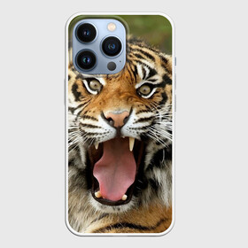 Чехол для iPhone 13 Pro с принтом Тигр в Тюмени,  |  | Тематика изображения на принте: angry | animal | beast | jaws | predator | teeth | tiger | животное | зверь | злой | клыки | оскал | пасть | тигр | хищник