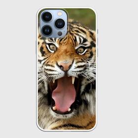 Чехол для iPhone 13 Pro Max с принтом Тигр в Тюмени,  |  | angry | animal | beast | jaws | predator | teeth | tiger | животное | зверь | злой | клыки | оскал | пасть | тигр | хищник