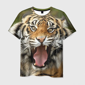 Мужская футболка 3D с принтом Тигр в Тюмени, 100% полиэфир | прямой крой, круглый вырез горловины, длина до линии бедер | Тематика изображения на принте: angry | animal | beast | jaws | predator | teeth | tiger | животное | зверь | злой | клыки | оскал | пасть | тигр | хищник