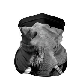 Бандана-труба 3D с принтом Слон в Тюмени, 100% полиэстер, ткань с особыми свойствами — Activecool | плотность 150‒180 г/м2; хорошо тянется, но сохраняет форму | Тематика изображения на принте: africa | big | black   white | elephant is an animal | shroud | tusks | африка | бивни | большой | животное | идет | савана | слон | черно   белый