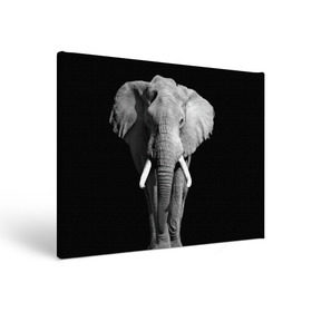 Холст прямоугольный с принтом Слон в Тюмени, 100% ПВХ |  | africa | big | black   white | elephant is an animal | shroud | tusks | африка | бивни | большой | животное | идет | савана | слон | черно   белый