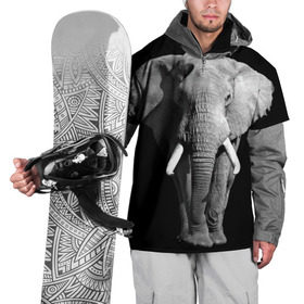 Накидка на куртку 3D с принтом Слон в Тюмени, 100% полиэстер |  | africa | big | black   white | elephant is an animal | shroud | tusks | африка | бивни | большой | животное | идет | савана | слон | черно   белый