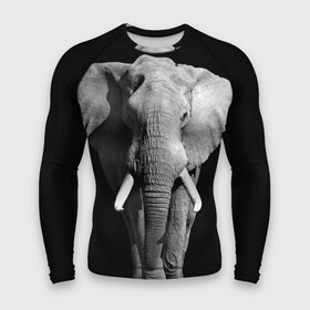 Мужской рашгард 3D с принтом Слон в Тюмени,  |  | africa | big | black   white | elephant is an animal | shroud | tusks | африка | бивни | большой | животное | идет | савана | слон | черно   белый