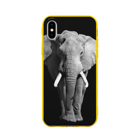 Чехол для Apple iPhone X силиконовый матовый с принтом Слон в Тюмени, Силикон | Печать на задней стороне чехла, без боковой панели | africa | big | black   white | elephant is an animal | shroud | tusks | африка | бивни | большой | животное | идет | савана | слон | черно   белый