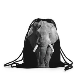 Рюкзак-мешок 3D с принтом Слон в Тюмени, 100% полиэстер | плотность ткани — 200 г/м2, размер — 35 х 45 см; лямки — толстые шнурки, застежка на шнуровке, без карманов и подкладки | africa | big | black   white | elephant is an animal | shroud | tusks | африка | бивни | большой | животное | идет | савана | слон | черно   белый